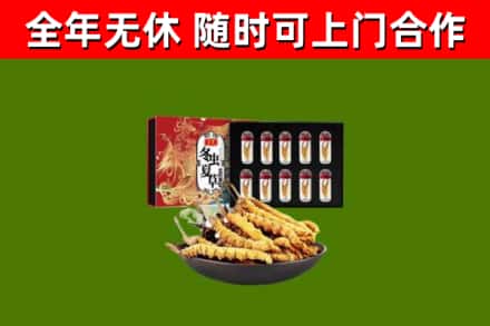 鲤城区回收冬虫夏草价格